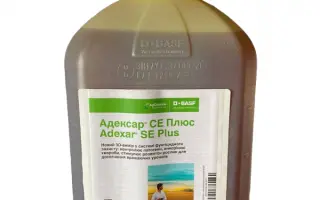 Адексар Плюс