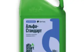 АЛЬФА-СТАНДАРТ