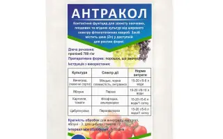 Антракол 70 WP