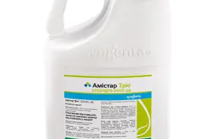 АМІСТАР ТРІО 255 EC