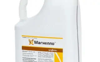 МАГНЕЛЛО 350 ЕС