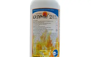 КАЗУМІН 2Л