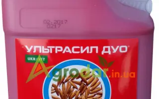 УЛЬТРАСИЛ ДУО