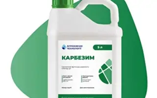 КАРБЕЗИМ