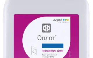 Оплот