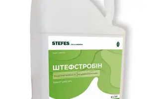 Штефстробін