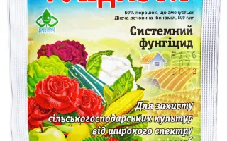 Трудоголік