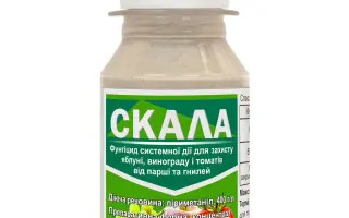 Скала 400SC