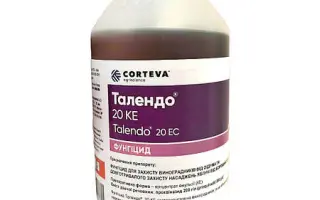 ТАЛЕНДО 20, КЕ