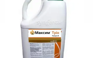 МАКСИМ ТРІО 60 FS