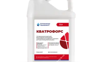 КВАТРОФОРС