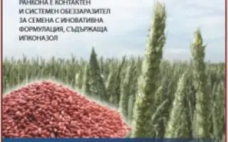 Ранкона 15 м.е.