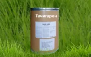 Тачигарен з.п.