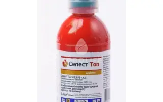 Селест Топ 312,5 FS т.к.с.