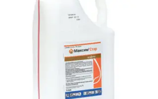 МАКСИМ СТАР 025 FS