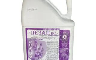 ДЕЗАЛ