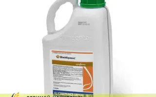 ВАЙБРАНС 500 FS