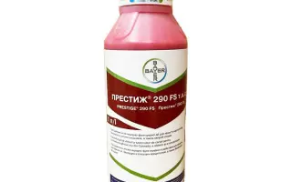 Престиж 290 FS