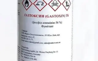 ГАЗТОКСИН