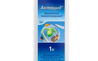 Концеп ІІІ 960 ЕС