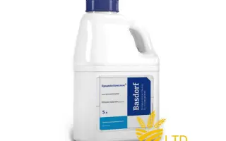 Продезин Комплекс