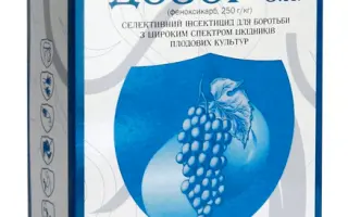 Дозор з.п., Исектицид