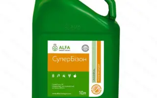 Супер Бізон