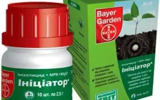 Инициатор 200 т.