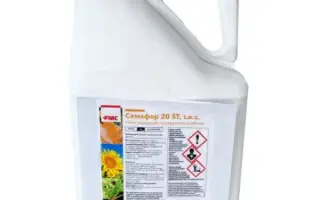 Семафор 20 ST