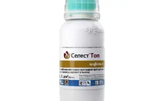 СЕЛЕСТ ТОП 312,5 FS