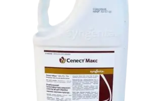 СЕЛЕСТ МАКС 165 FS