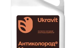 АНТИКОЛОРАД МАКС