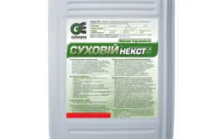 Суховій Некст