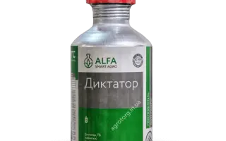 Диктатор, ТБ, фумігант