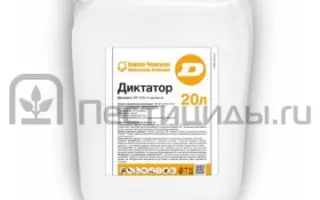 Диктатор, ТБ