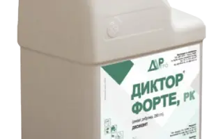 Диктор Форте, РК, десикант