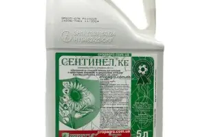 Сентинел, КЕ