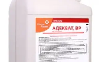 Адвейк Плюс (Adwake Plus)