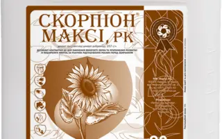 Скорпіон Максі