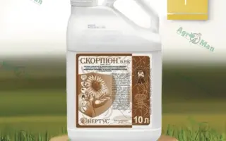 Скорпіон в.р.к., Десикант (Дикват, 150 г/л)