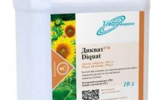 Десикаш в.р.к., Десикант (Дикват димромід, 150 г/л)