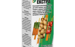 Нобль, в.р., (АДГ ?)