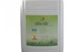 Бумеранг в.р.