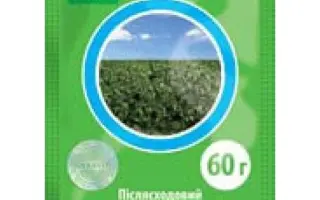 КОРД, ЗП (Трифлусульфурон-метил, 500г/кг)