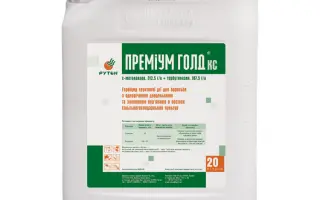 Прем’єр Голд