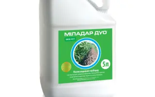 МІЛАДАР ДУО, КС