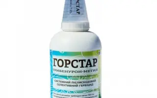 Горстар, ВГ