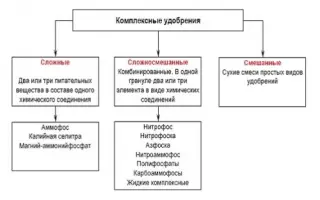 Название препарата