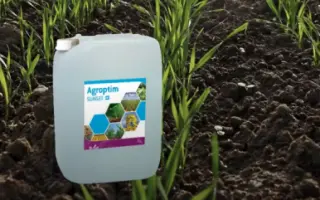 Агроптім САНСЕТ