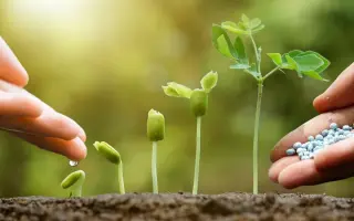 Суміші мінеральних добрив